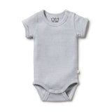 Wilson & Frenchy Organic Stripe Rib Bodysuit (Rain Drop)