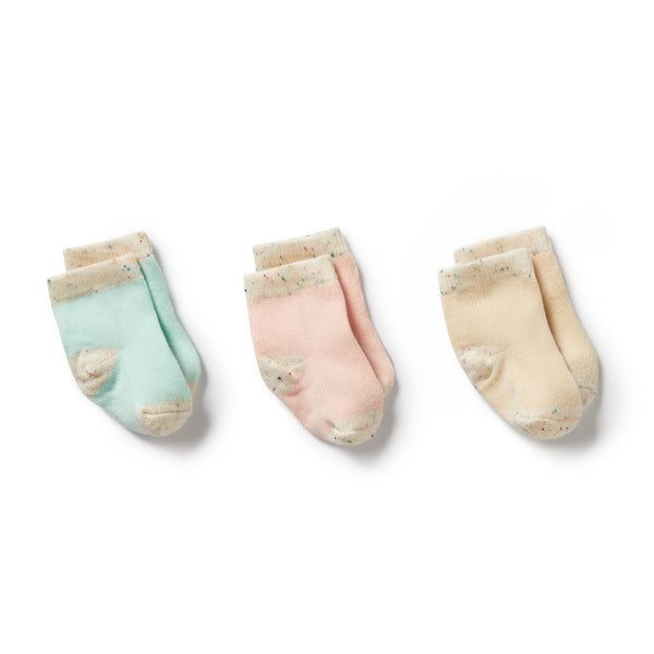 Wilson & Frenchy - Organic 3 Pack Baby Socks